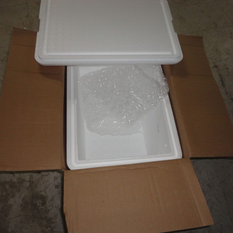 Vaccine Shipping Container